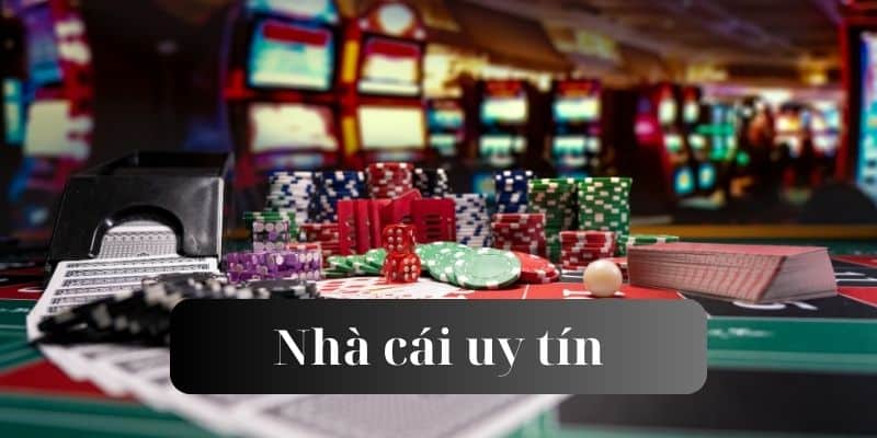 đá gà casino xem đá gà trực tiếp casino 🎰